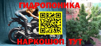 крисы Ижевск