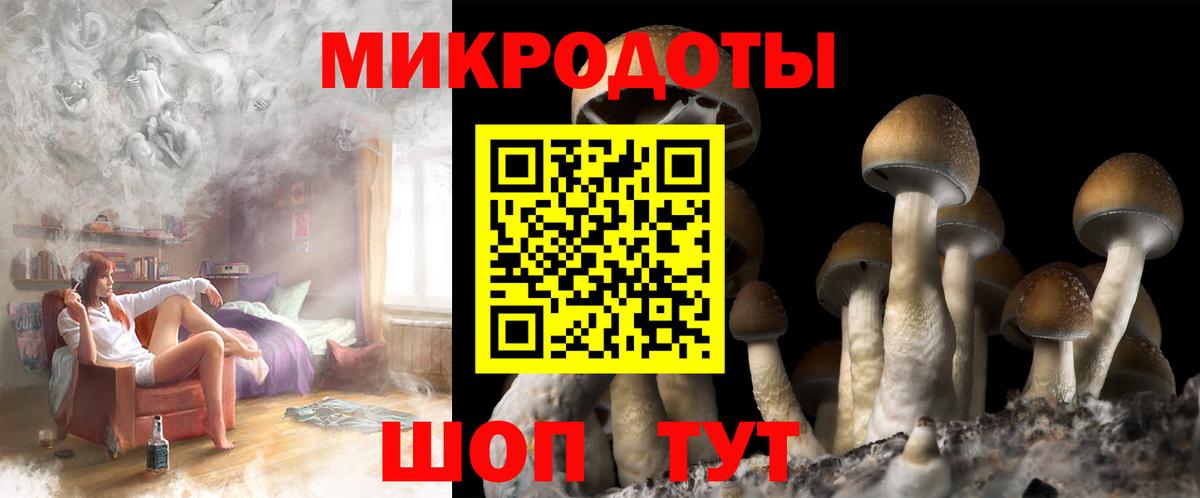Галлюциногенные грибы Psilocybine cubensis Ступино